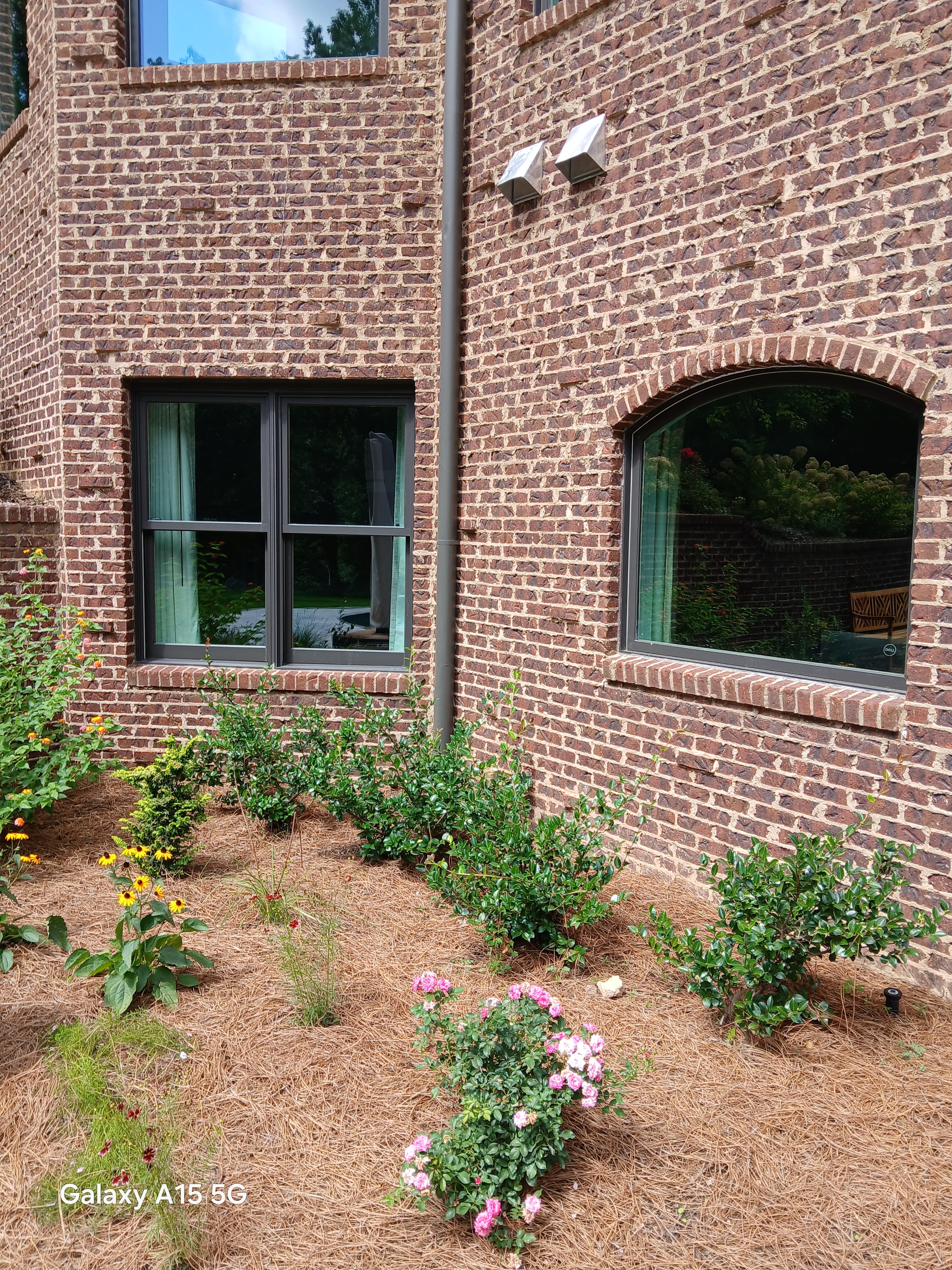 Additional view of the completed Pelham commercial window film project